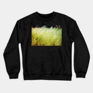 Wild Green Oats Crewneck Sweatshirt